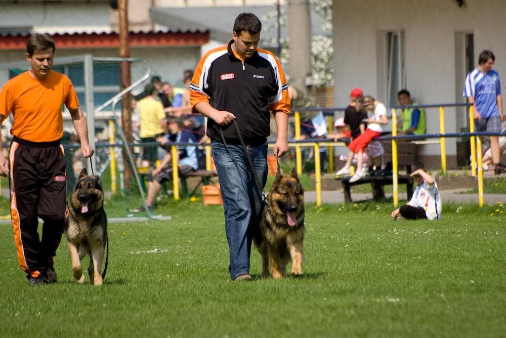 Archivbild: Maiveranstaltung 2009, Bild 01