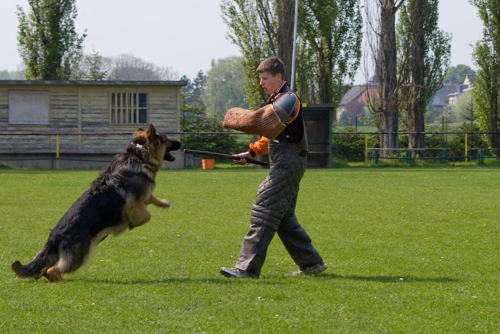 Archivbild: Maiveranstaltung 2009, Bild 05