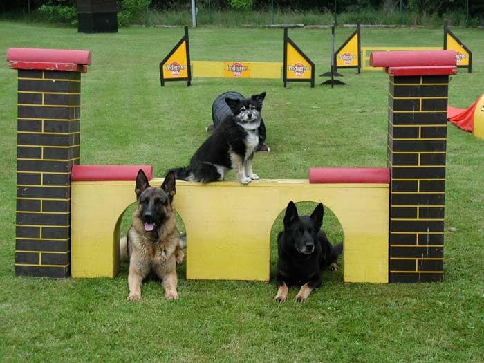 Archivbild: 40-Jahr-Feier, Bild 06