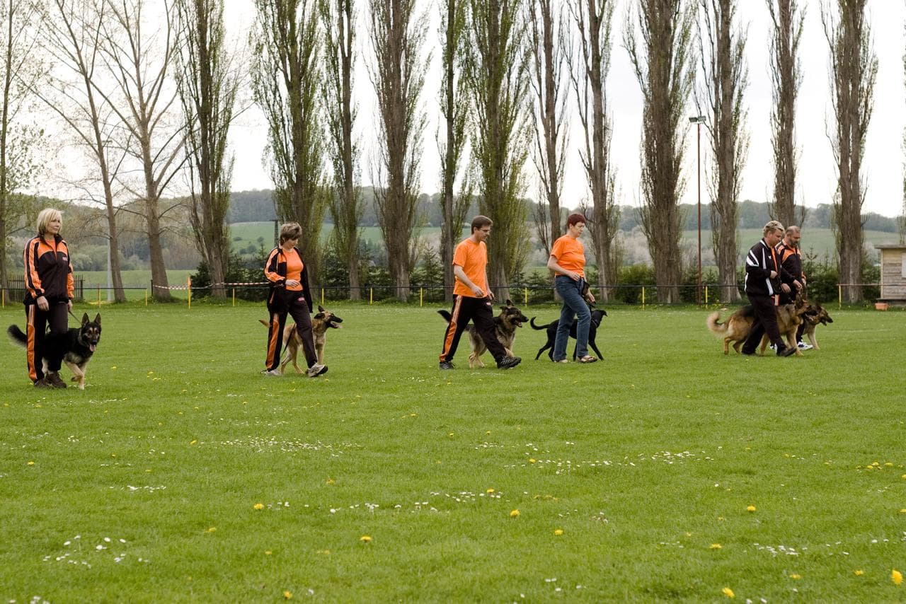 Archivbild: Maiveranstaltung 2010, Bild 05