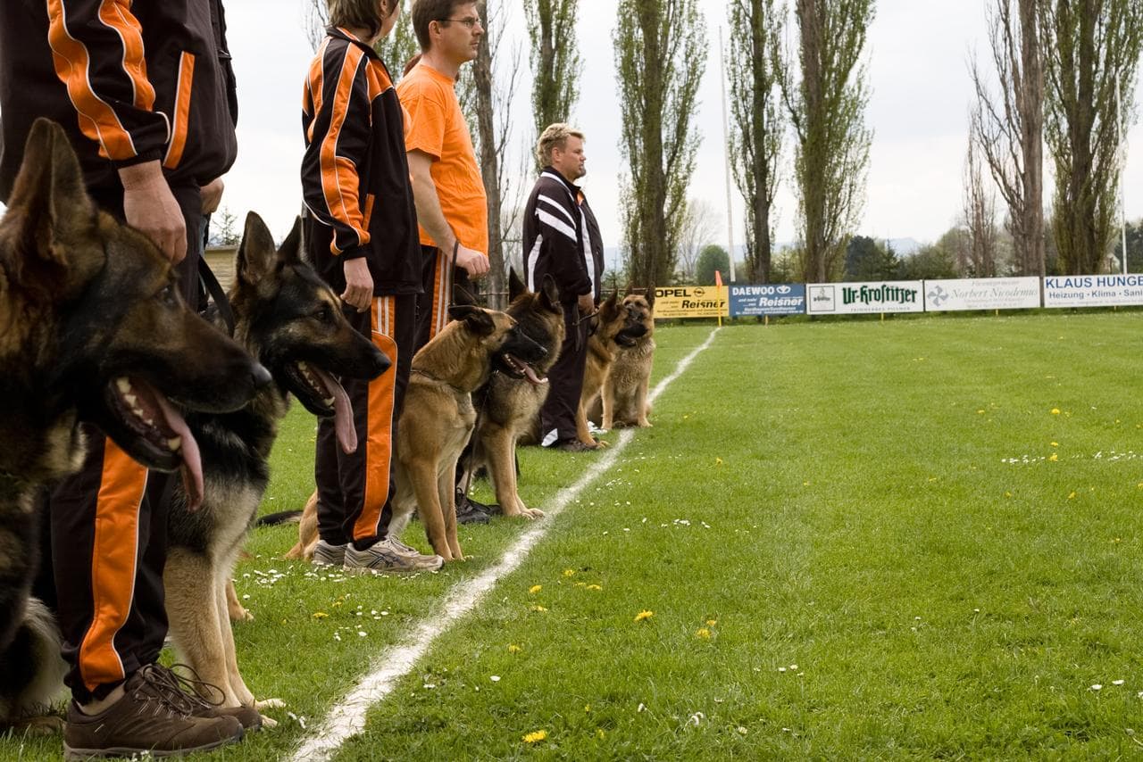 Archivbild: Maiveranstaltung 2010, Bild 06