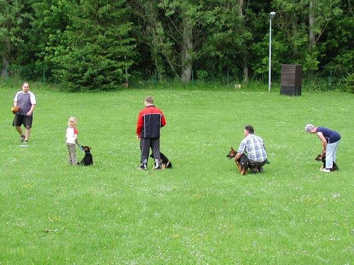 Welpen und Halter beim ersten gemeinsamen Training auf dem Platz
