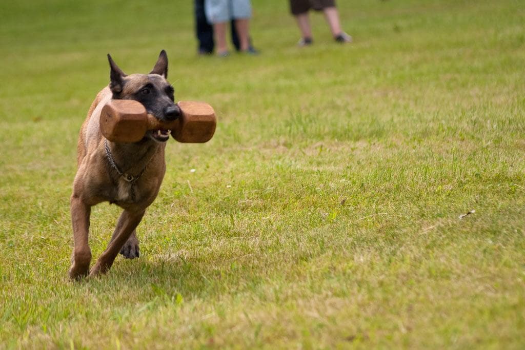 Archivbild: Dorffest 2009, Bild 01