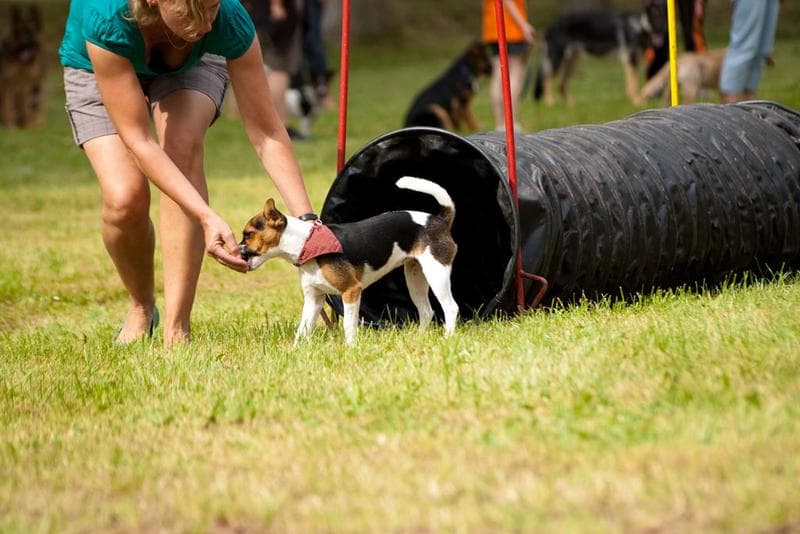 Bilder zum Dorffest 2009