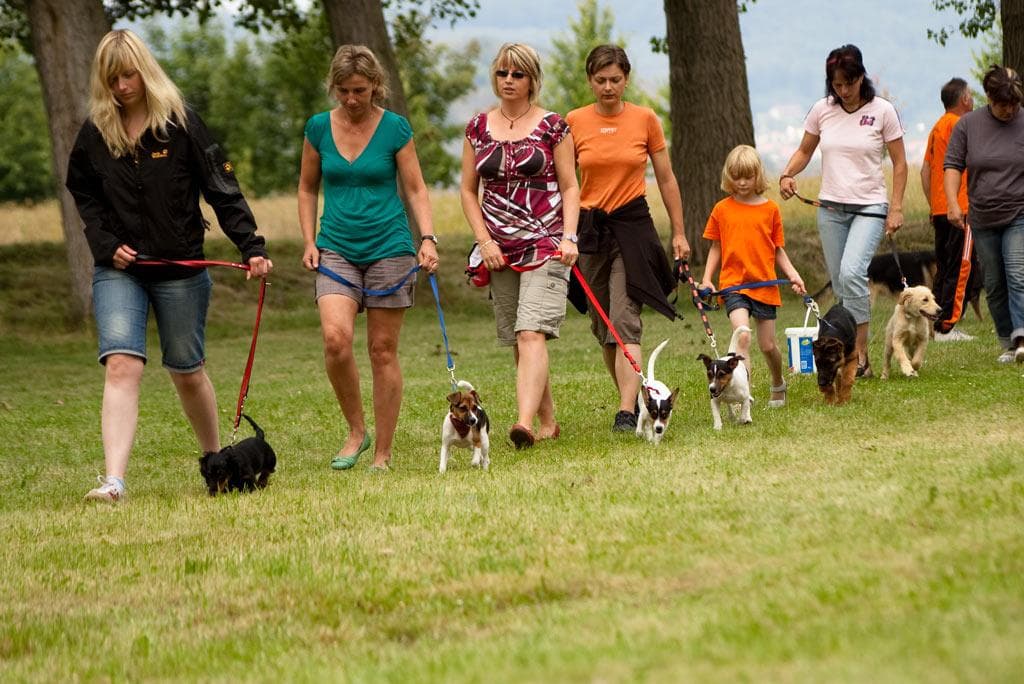 Archivbild: Dorffest 2009, Bild 06