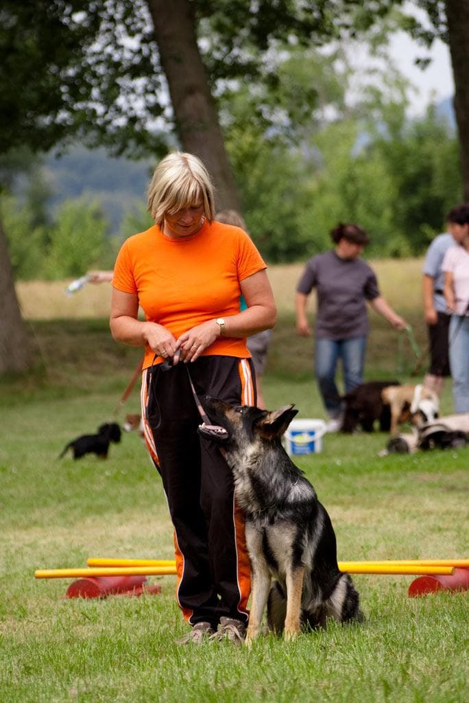 Archivbild: Dorffest 2009, Bild 10