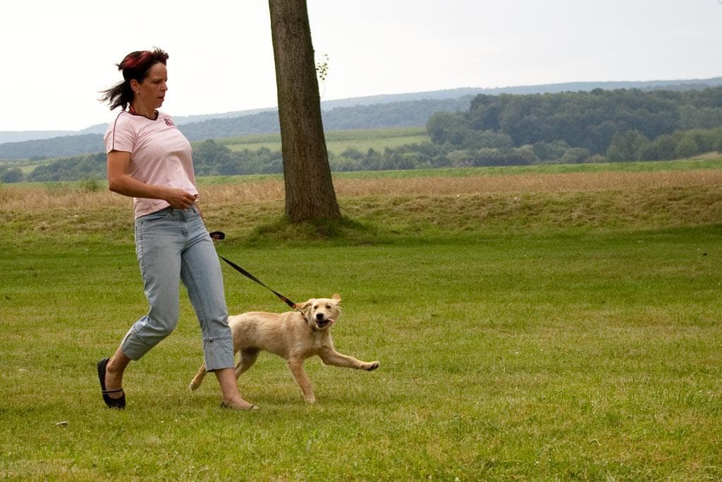 Archivbild: Dorffest 2009, Bild 11