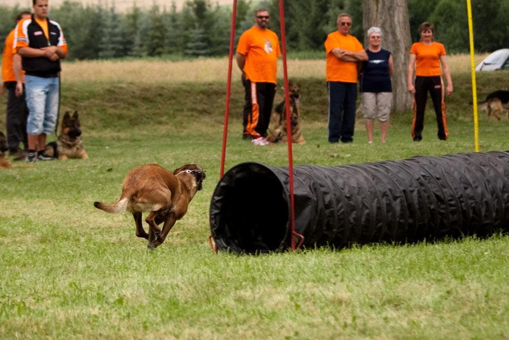 Archivbild: Dorffest 2009, Bild 14