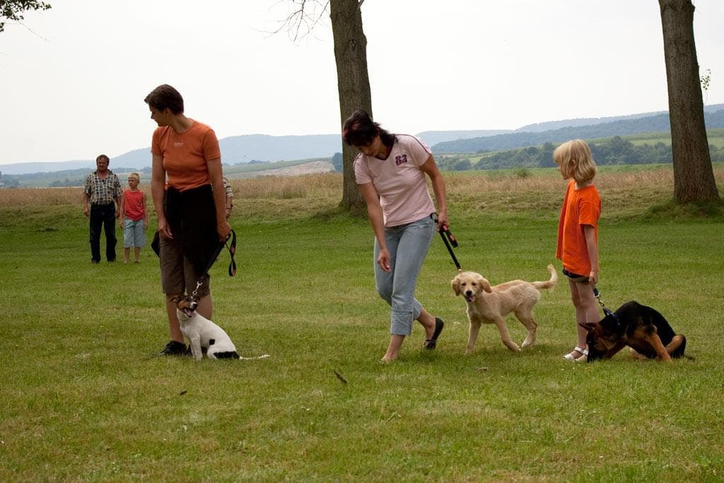 Archivbild: Dorffest 2009, Bild 15